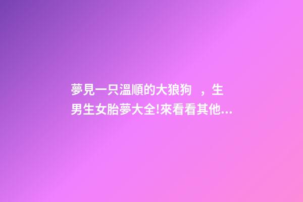 夢見一只溫順的大狼狗，生男生女胎夢大全!來看看其他媽媽們經驗談